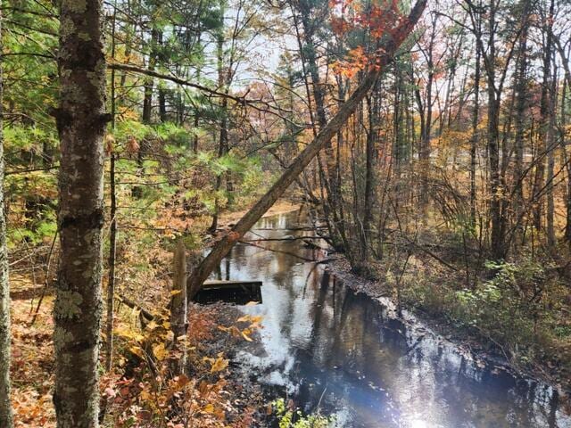 water view featuring a wooded view