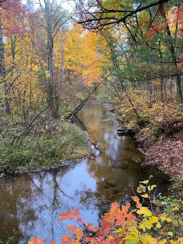 property view of water featuring a forest view