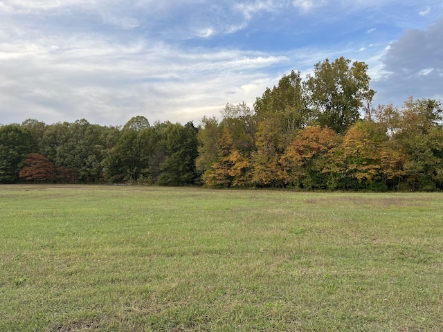 view of yard featuring a wooded view