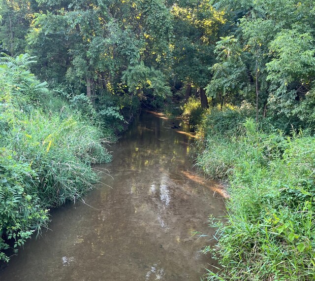 view of nature with a wooded view