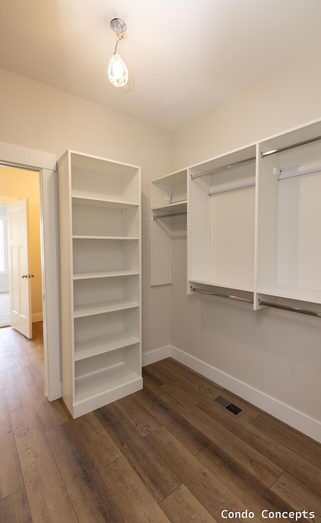 6627 Shoreside Ct SE, Grand Rapids, MI 49548 - walk in closet with dark wood-style flooring