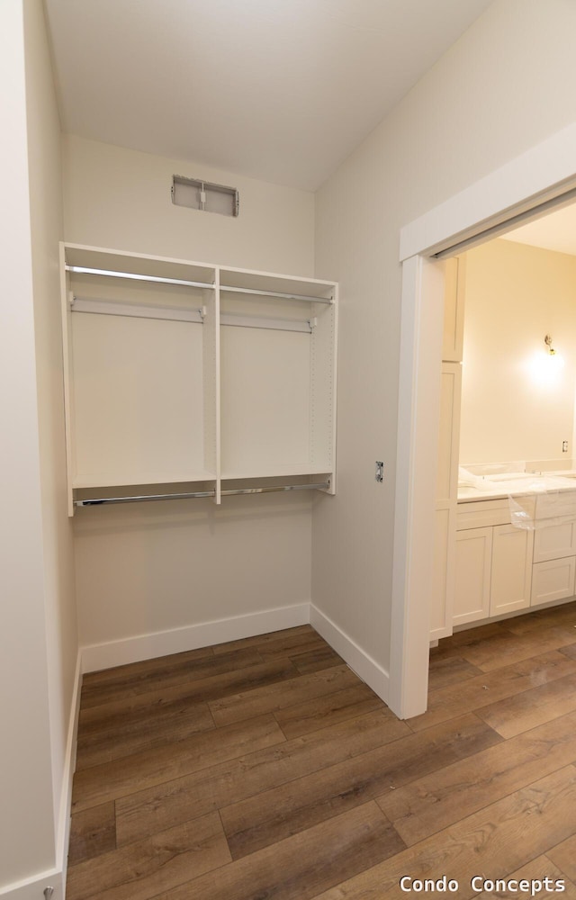 6627 Shoreside Ct SE, Grand Rapids, MI 49548 - walk in closet with hardwood / wood-style flooring