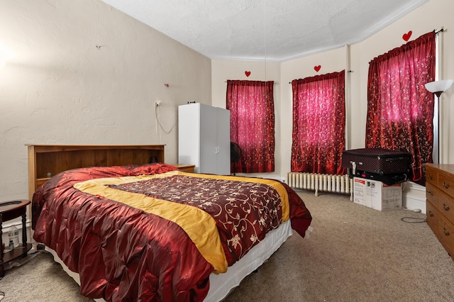 240 S Main St, Three Rivers, MI 49093 - bedroom featuring carpet flooring, radiator heating unit, and a textured ceiling