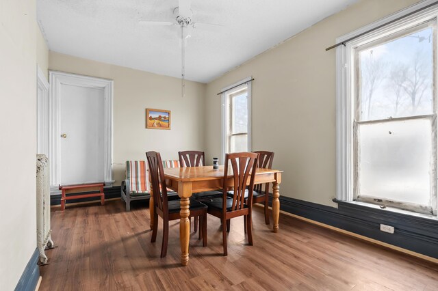 240 S Main St, Three Rivers, MI 49093 - dining space featuring a ceiling fan, wood finished floors, and baseboards