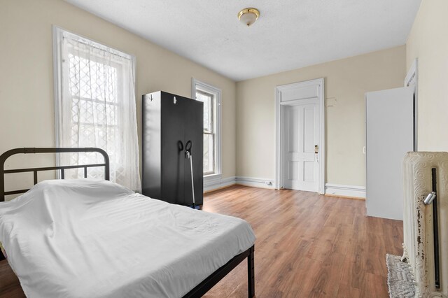 240 S Main St, Three Rivers, MI 49093 - bedroom featuring baseboards and light wood-type flooring