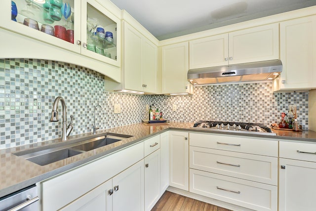 kitchen featuring under cabinet range hood, a sink, tasteful backsplash, stainless steel appliances, and light wood-style floors