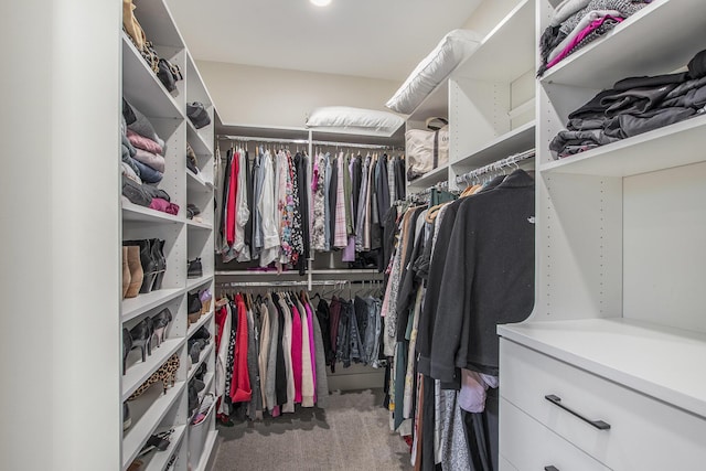 spacious closet featuring carpet