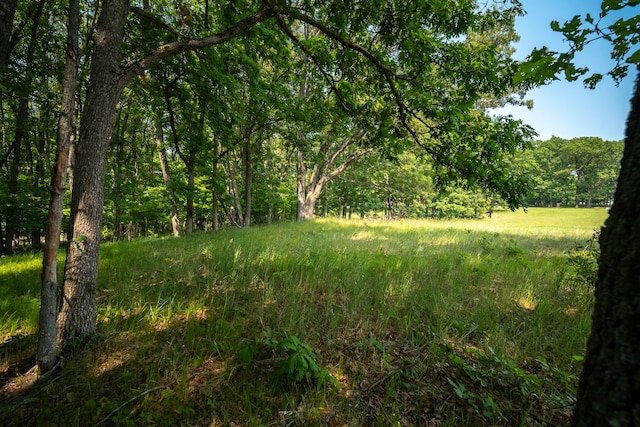 8161 Hunters Ridge Dr, Irons, MI 49644 - photo 3