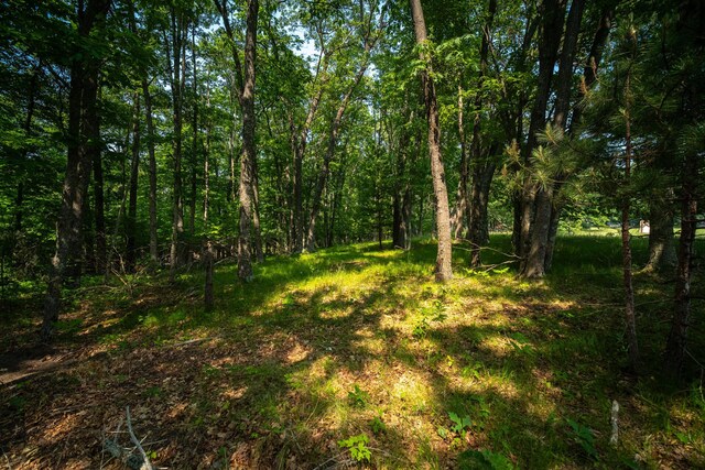 8161 Hunters Ridge Dr, Irons, MI 49644 - photo 21