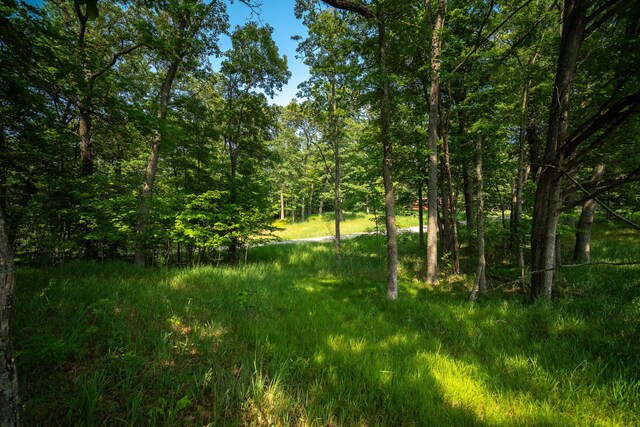 8161 Hunters Ridge Dr, Irons, MI 49644 - photo 25