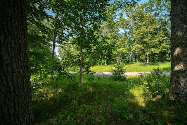 8161 Hunters Ridge Dr, Irons, MI 49644 - photo 27