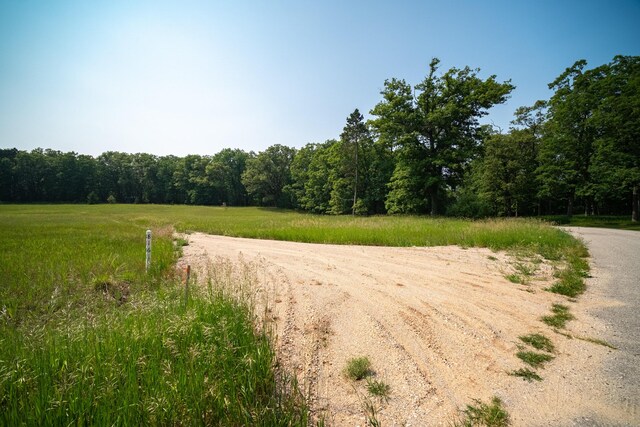 8161 Hunters Ridge Dr, Irons, MI 49644 - photo 34
