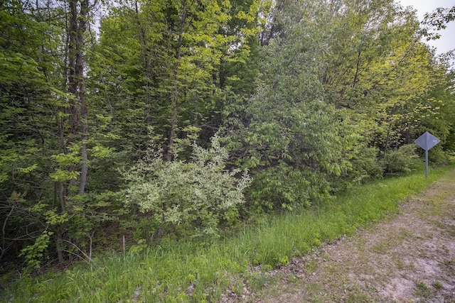 Covey Rd, Beulah, MI 49617 - photo 25