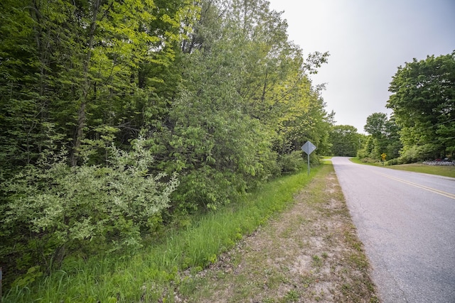 Covey Rd, Beulah, MI 49617 - photo 26