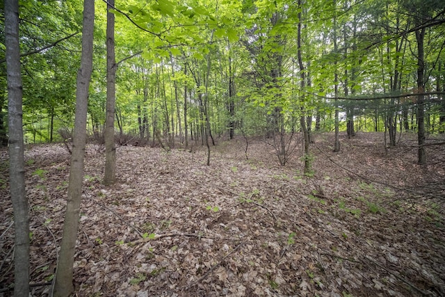 Covey Rd, Beulah, MI 49617 - photo 3