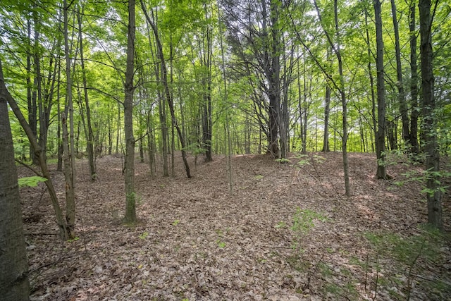 Covey Rd, Beulah, MI 49617 - photo 4