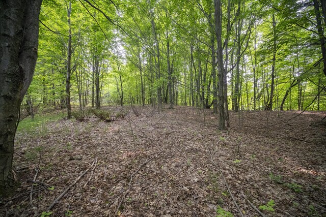 Covey Rd, Beulah, MI 49617 - photo 2