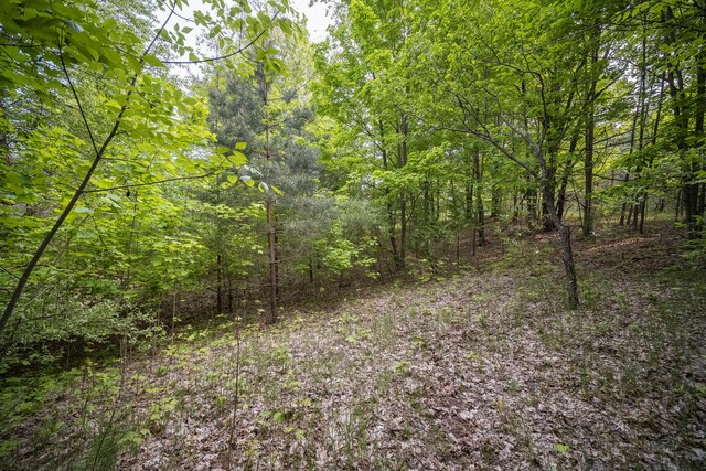 Covey Rd, Beulah, MI 49617 - photo 5