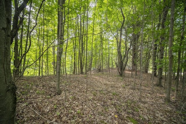 Covey Rd, Beulah, MI 49617 - photo 6