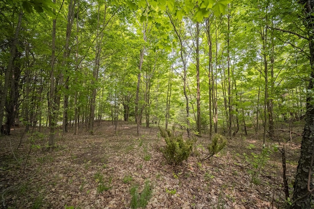 Covey Rd, Beulah, MI 49617 - photo 7