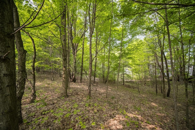 Covey Rd, Beulah, MI 49617 - photo 8