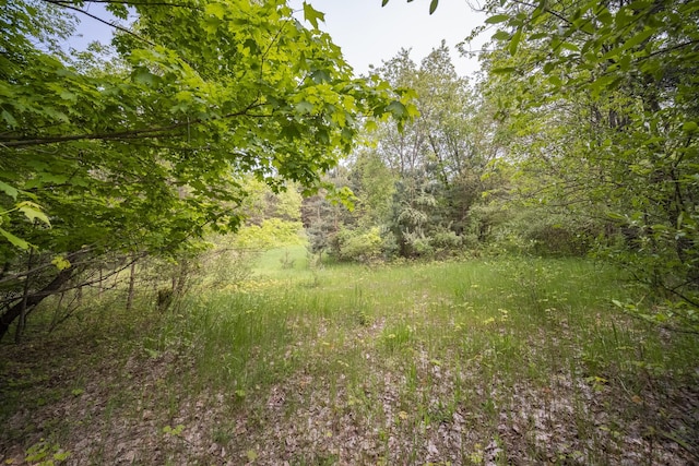 Covey Rd, Beulah, MI 49617 - photo 9