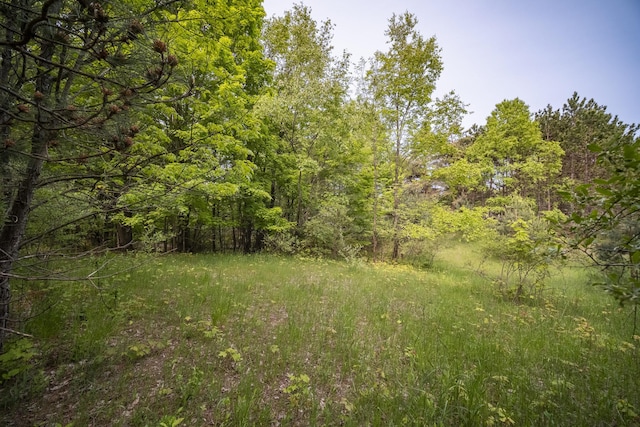 Covey Rd, Beulah, MI 49617 - photo 10