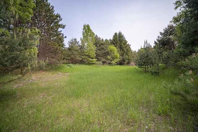 Covey Rd, Beulah, MI 49617 - photo 11
