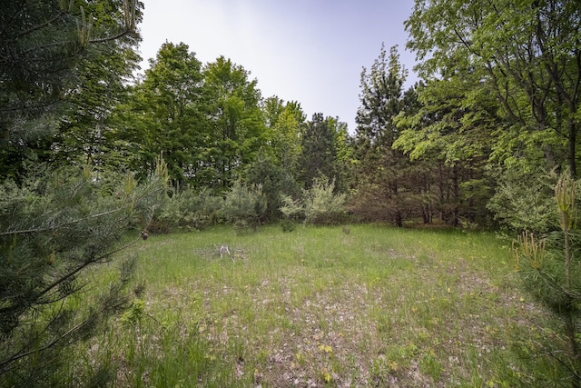 Covey Rd, Beulah, MI 49617 - photo 1