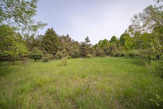 Covey Rd, Beulah, MI 49617 - photo 12