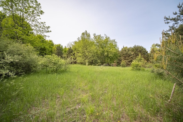 Covey Rd, Beulah, MI 49617 - photo 13