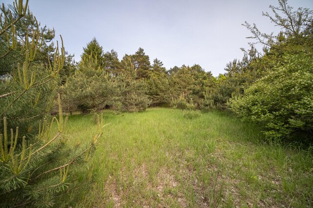 Covey Rd, Beulah, MI 49617 - photo 14