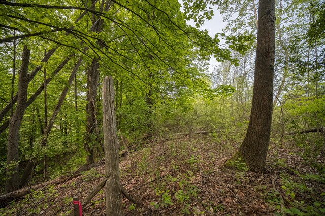 Covey Rd, Beulah, MI 49617 - photo 15