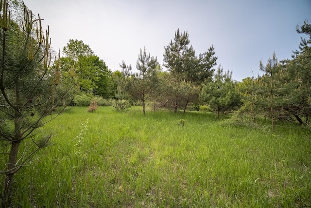 Covey Rd, Beulah, MI 49617 - photo 16