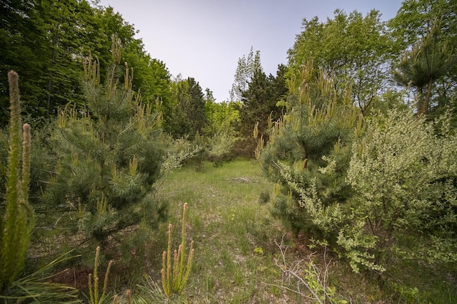 Covey Rd, Beulah, MI 49617 - photo 18