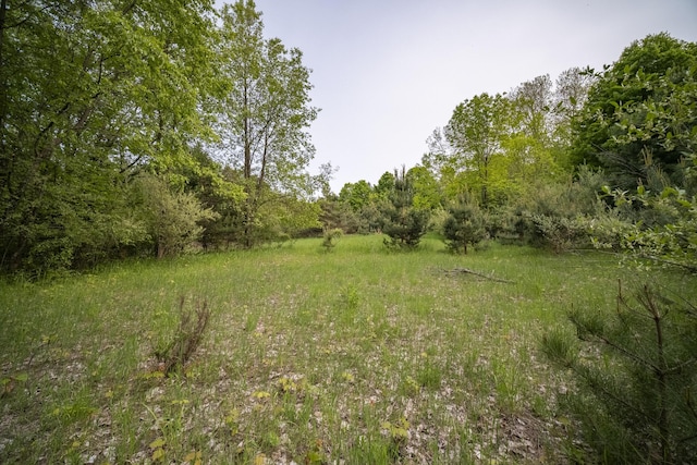 Covey Rd, Beulah, MI 49617 - photo 19
