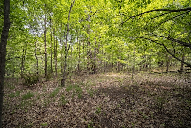 Covey Rd, Beulah, MI 49617 - photo 20