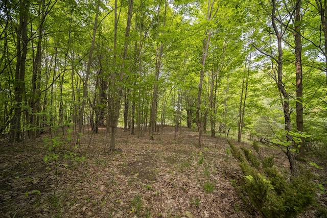Covey Rd, Beulah, MI 49617 - photo 21