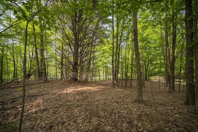 Covey Rd, Beulah, MI 49617 - photo 22