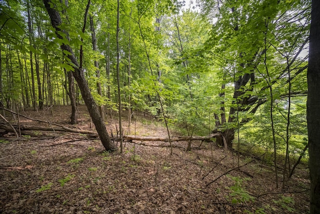 Covey Rd, Beulah, MI 49617 - photo 23