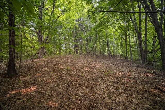 Covey Rd, Beulah, MI 49617 - photo 24