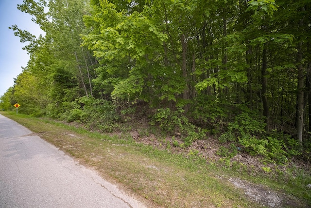 Covey Rd, Beulah, MI 49617 - photo 28