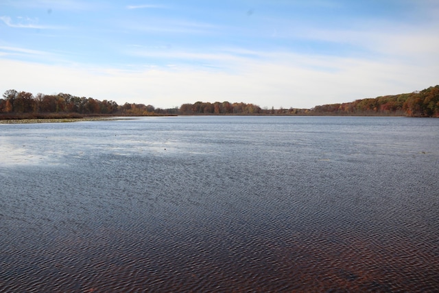 51130 Maple Rd, Marcellus, MI 49067 - photo 26