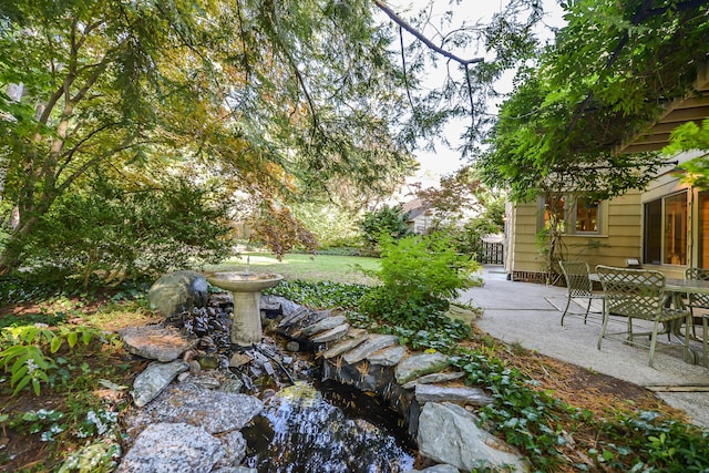 view of yard with a patio