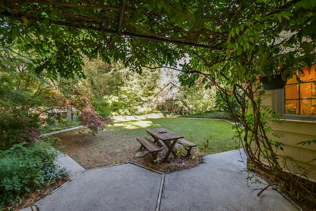 view of yard with a patio area
