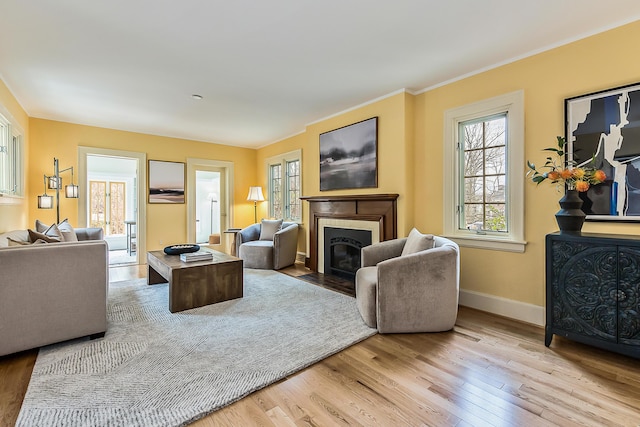 living area featuring crown molding, baseboards, wood finished floors, and a tile fireplace