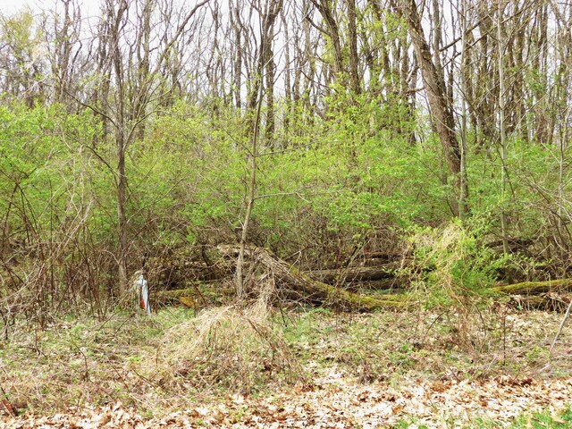 V/L Greyhawke Rdg Lot 5, Niles, MI 49120