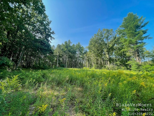 40 Taft Rd, Barryton MI, 49305 land for sale