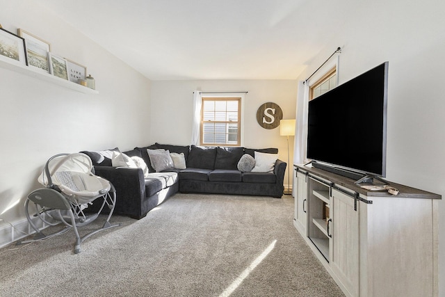 living area featuring carpet floors