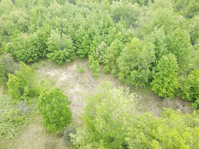 NN Colleen Dr, Cadillac, MI 49601 - photo 2